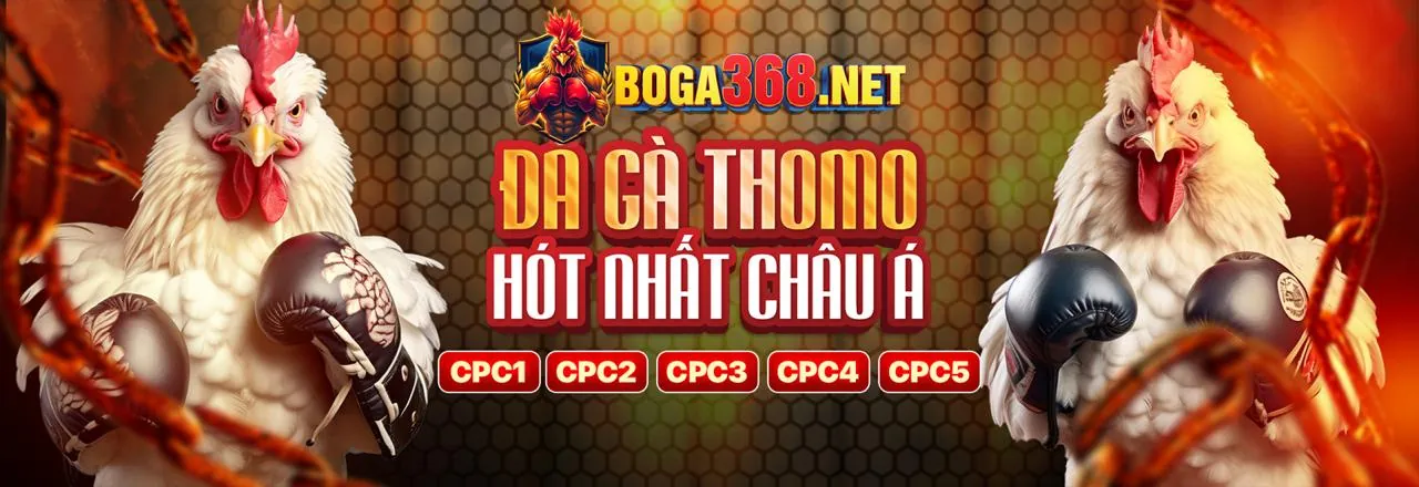 Hình ảnh chính của Blog viva8 link vào, thể hiện sự sôi động của giải trí trực tuyến