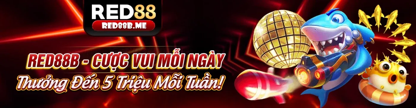 Quy trình rút tiền Viva8